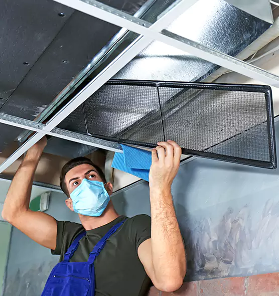 About Air Duct Bacteria Removal in Nederland