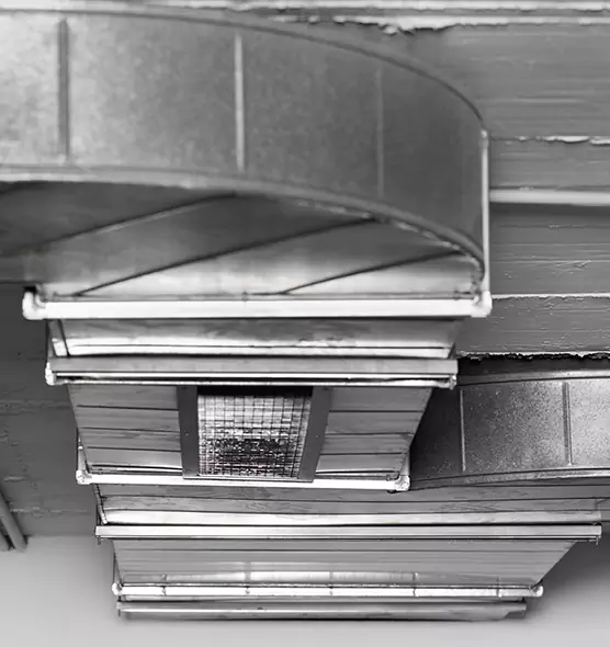 Professional Air Duct Pest Removal in Nederland, TX