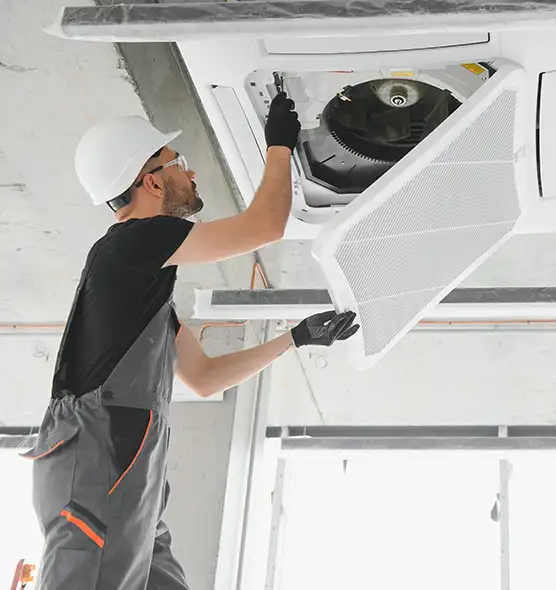 About Air Duct Rodent Removal in Nederland, TX