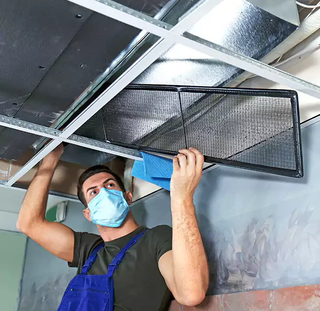 Why Homeowners Businesses Trust Us in Nederland, TX