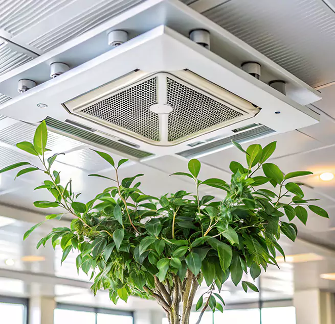 Why Homeowners & Businesses Trust Us in Nederland, TX?