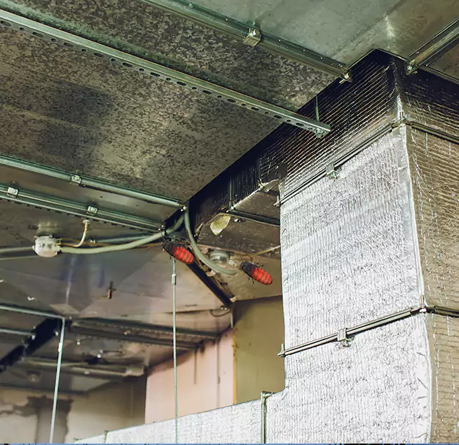 Why Homeowners & Businesses Trust Us Nederland, TX?